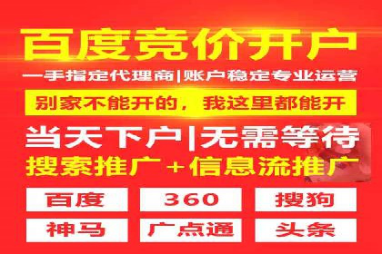 从小白到高手：百度竞价赚钱全记录